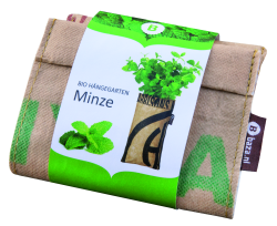 pga 2017 kwopen - Growing promotional success