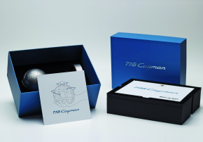 pga 2017 trik 290x202 - Custom-made Designs 2017