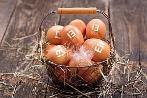 This will even amaze the hen Kellermeister Manns Seite 46 Kopie 300x200 - This will even amaze the hen