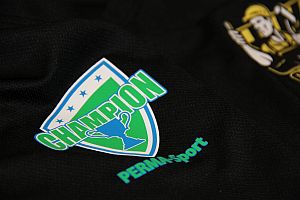 PERMA Sport auf Polyester Sport Shirt 25xgewaschen5xTumblr - Veredelungstechnik 2018