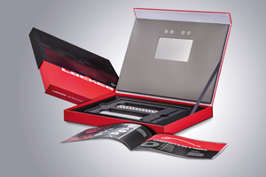 Audiologo locked auf bühne NEU CMYK 300x200 - Video proof all-included