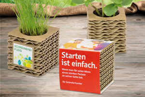 emotionfactory Wellkarton Pflanzwuerfel Mini MOOD 300x200 - Coherent package