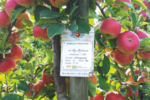 Herzapfelhof Luehs BioApfelbaumPatenschaftHerzapfelhof - Premium Products 2020