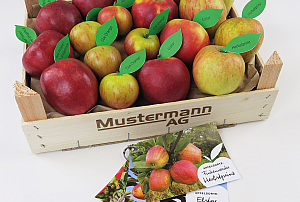 Herzapfelhof Bio Apfelprobierkiste 300x202 - Premium Products 2021