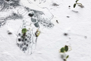 matabooks  Samenbuch - Communicative Products 2022