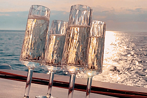 koziol silwy Sekt vs - Sonderanfertigung 2023